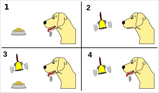 王立铭：育儿文为什么会让你焦虑？