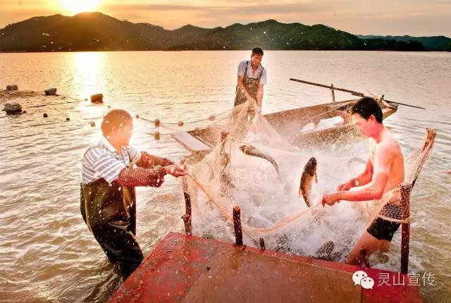 广西灵山县今年经济发展速度,灵山县经济建设发展