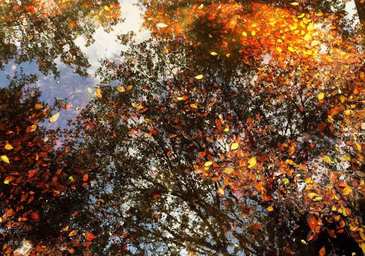 最近发生了很多事的说说,说说最近你身边发生的事吧