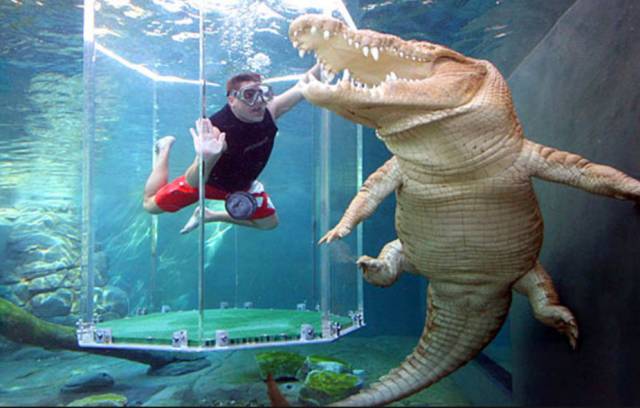 红色狂想曲完整版,红色狂想曲全集解说完整版