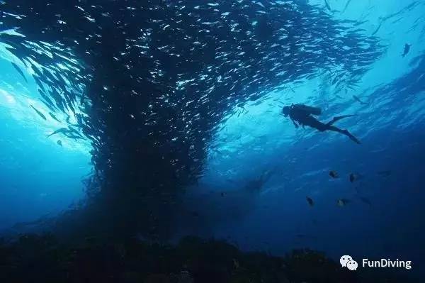 船宿推荐及价格,船宿推荐