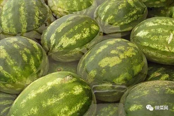 高岩最新直播,高岩发起的直播