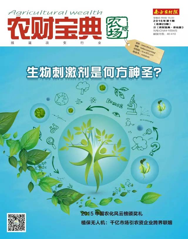 浪潮集团的发展之路,浪潮集团目前整合情况