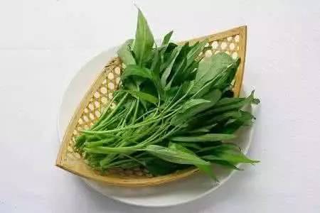 每日资讯速览,每日要闻速报视频