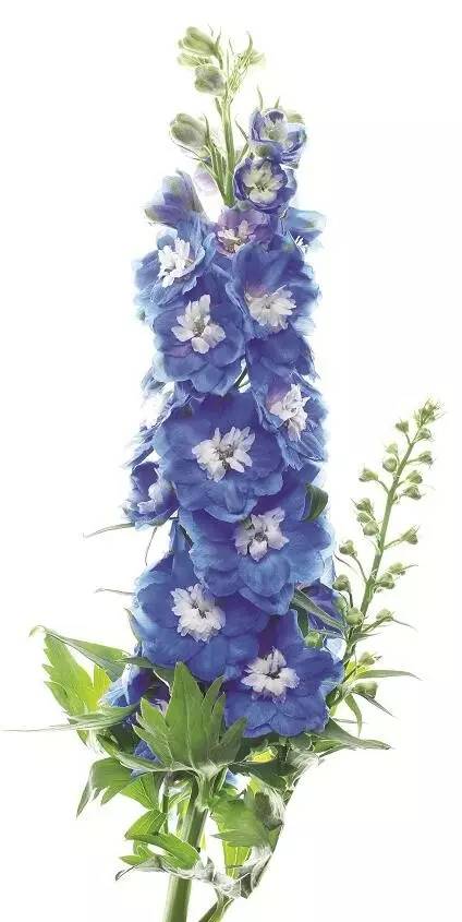 自然好书100本排行榜,自然好书