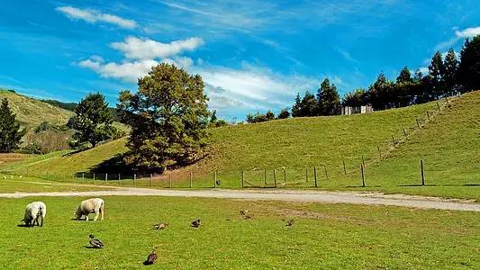 福建浦城一套房子多少钱,浦城一套房子要多少钱