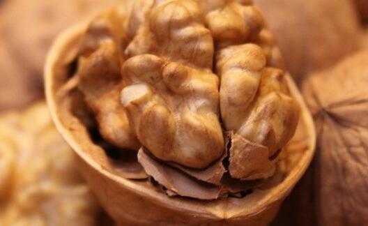 核桃长虫子了还能吃吗,核桃外面招虫子了还能吃吗