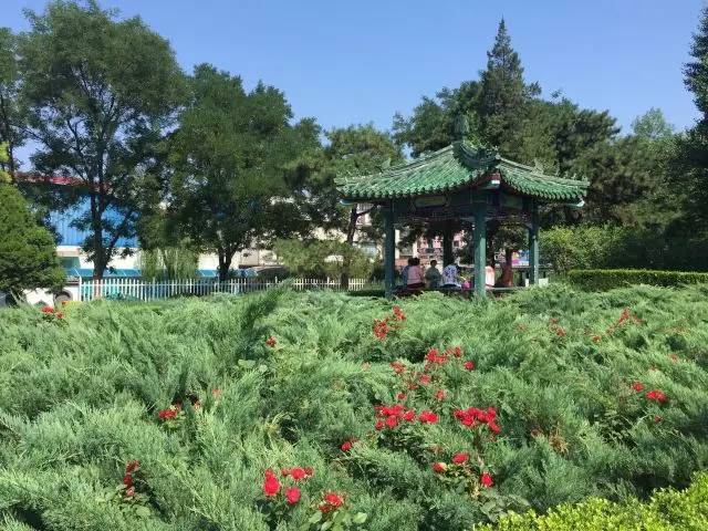 关于园区灭虫通知,昌平灭虫