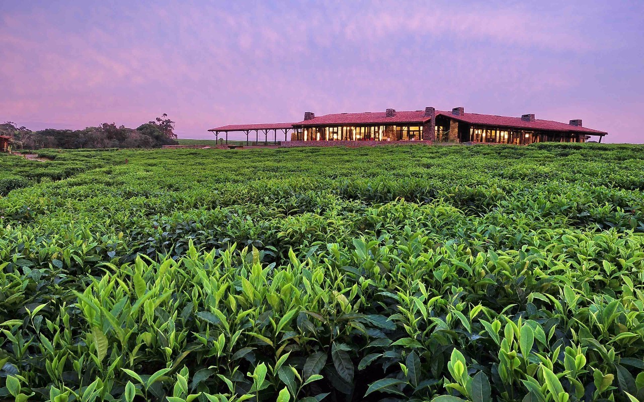 Excuseme？这个享誉全球的顶奢酒店集团竟然来自非洲！