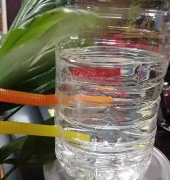 自制365天自动浇花神器,出差自制浇水神器