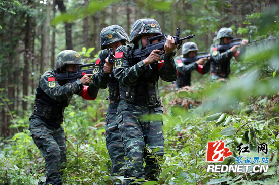 来了新闻早班车免费微信版,来了新闻早班车语音