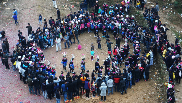 苗寨斗牛风俗视频,苗寨斗牛活动