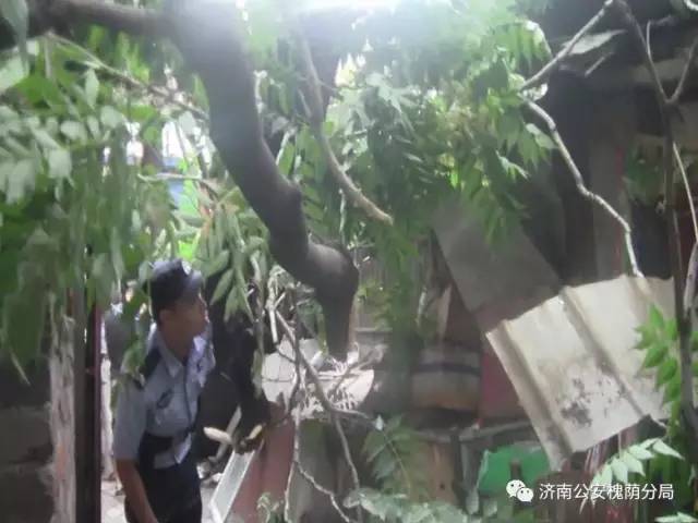 守护西部泉城槐荫基层警讯|第四期