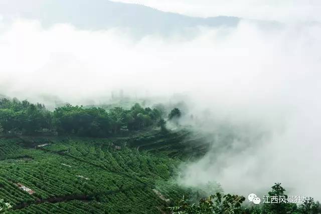 龙南的客家围屋里面有哪些东西,龙南客家围屋旅游景点介绍视频