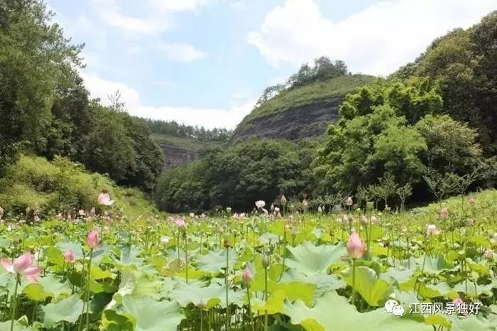 「走遍江西100县」赣县区:客家先民南迁第一站,世界客家摇篮!