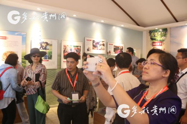 花溪久安古茶景区,贵州花溪县久安古茶