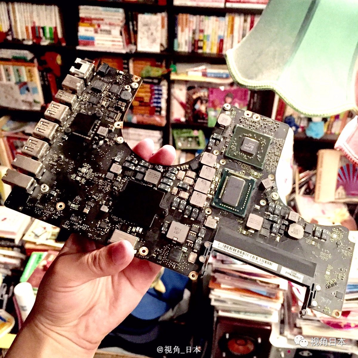 趣闻四则如果直接复印蹲在复印机上的猫奇迹复活的青蛙