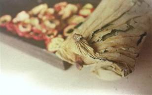 降压养肾养生茶,降压去火养生茶