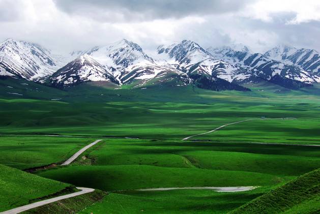 对不起，我去草原了，别再找我了……