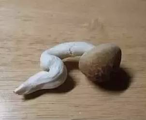 澳洲神药panadol不能乱吃,澳洲panadol止痛效果