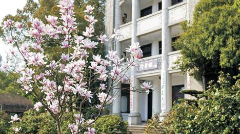 我在西南师范大学等你,我在西南大学等你