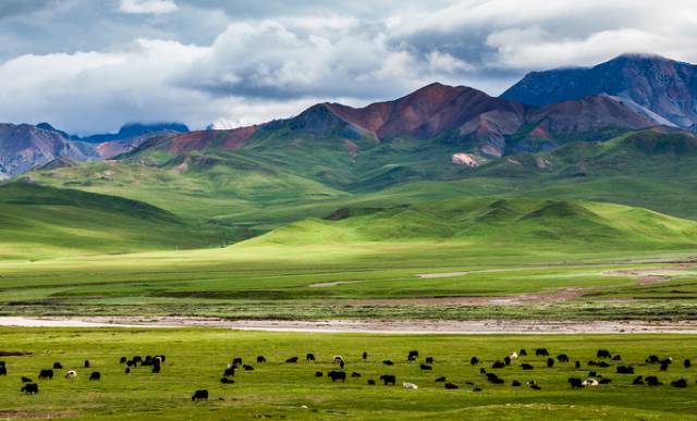 对不起，我去草原了，别再找我了……