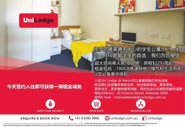 澳洲神药panadol不能乱吃,澳洲panadol止痛效果