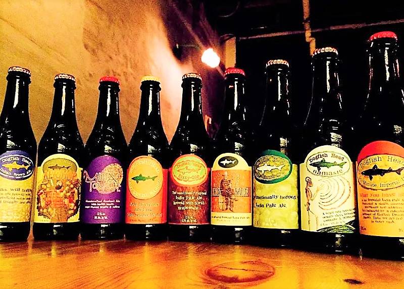 秦皇岛适合带狗去的地方,北戴河的民宿带狗的可以去吗