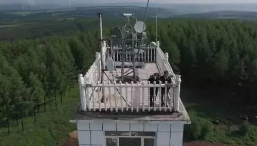 英国小哥到中国旅游,英国小哥来到中国旅游