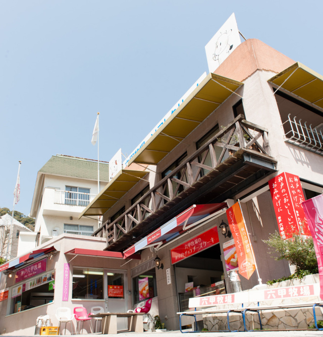 日本神户地下铁,神户地下铁