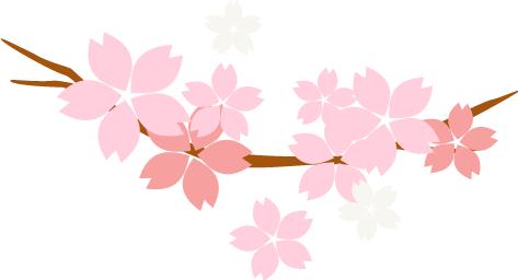 入门级留学申请干货留学小白必看,攻略必备干货知识分享