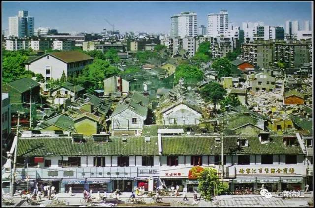 你真的了解她的过去吗,当你了解了她的过去以后会怎么样