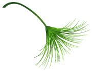 南京全民健身活动,南京奥体全民健身园