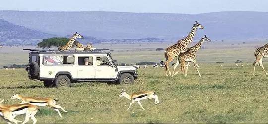 中国公民赴泰旅游安全提示,赴泰国旅游警示