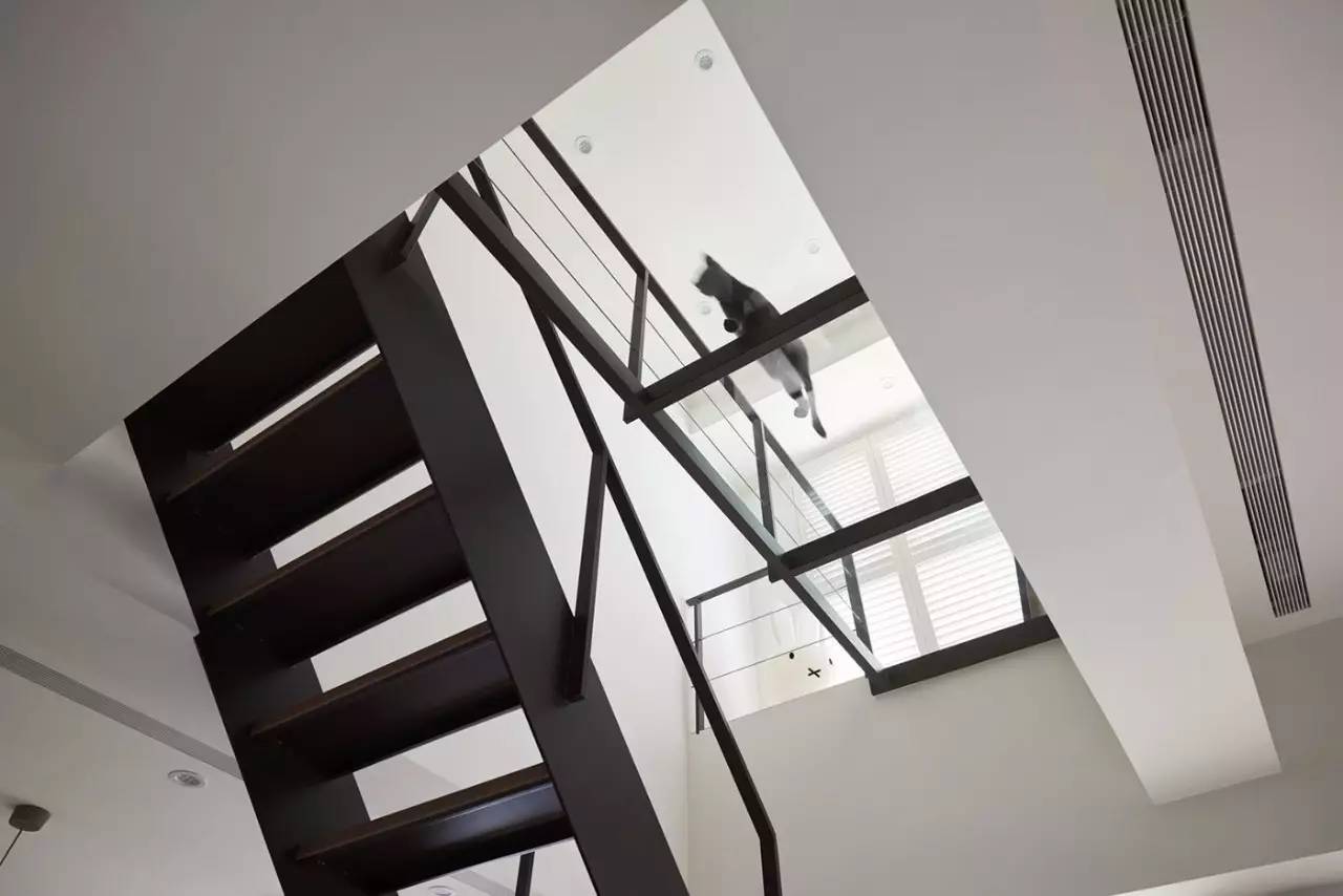 猫奴的生活布置,猫奴的卧室怎么装扮