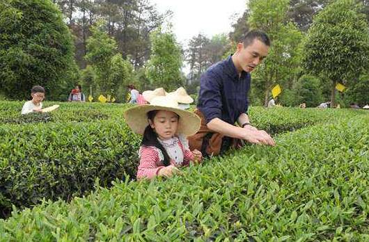 天府舌尖之旅,寻找舌尖上的成都美食