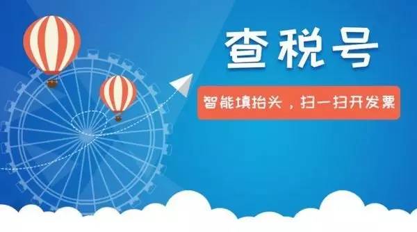 开发票查税收编码怎么弄,给税务局开发票有纳税识别号吗