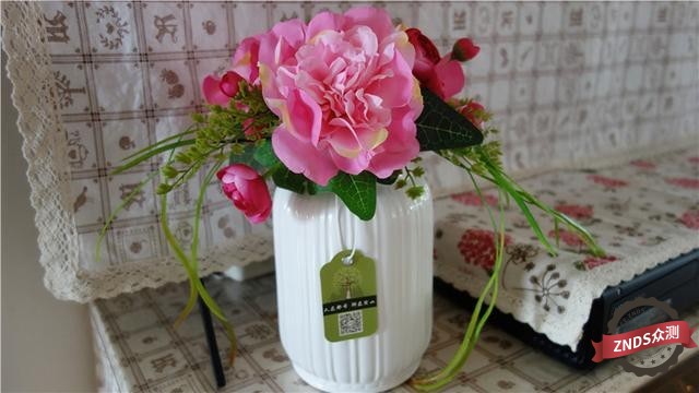 灿若夏花，静如秋叶——优山美地负离子仿真花空气净化器测评