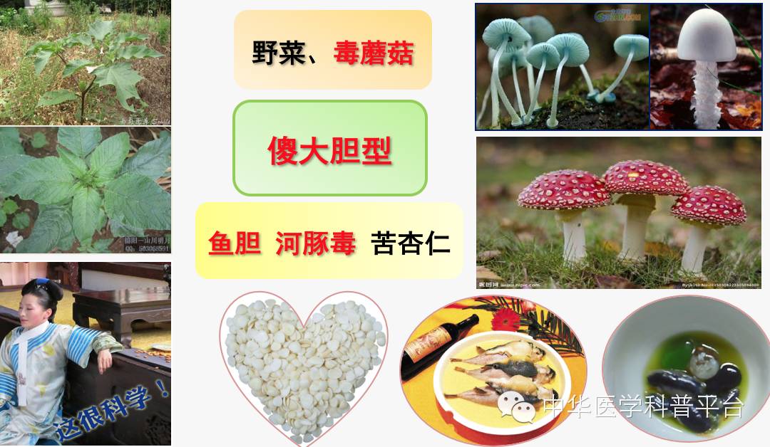 危险的中毒,危险的毒素