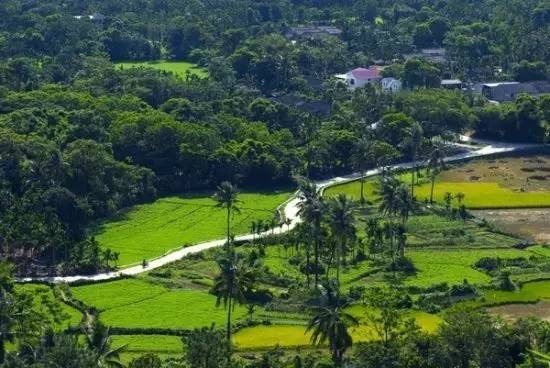 「看定安|节气」立秋之后,炎热依旧,来一场说走就走的避暑之旅吧!