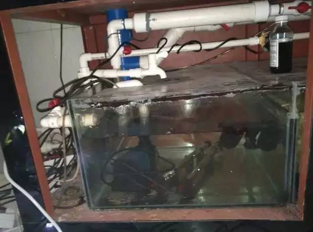 你还在傻傻的补水吗,你还在傻傻的浮潜吗