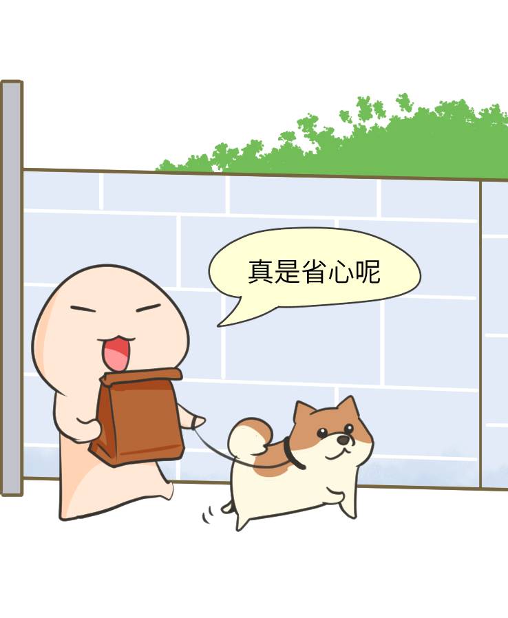 我家博美犬长得怎么样,博美犬8岁是老狗吗