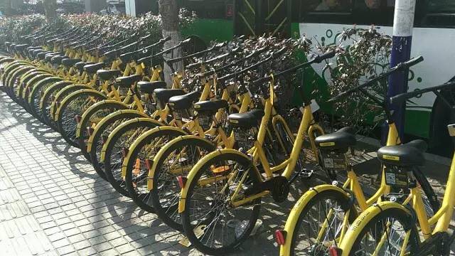 青岛有多好拍,青岛到底有哪些风景