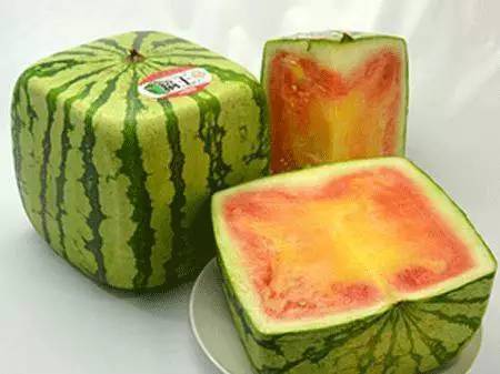 一个西瓜在日本要多少人民币,一个西瓜100块吃不起