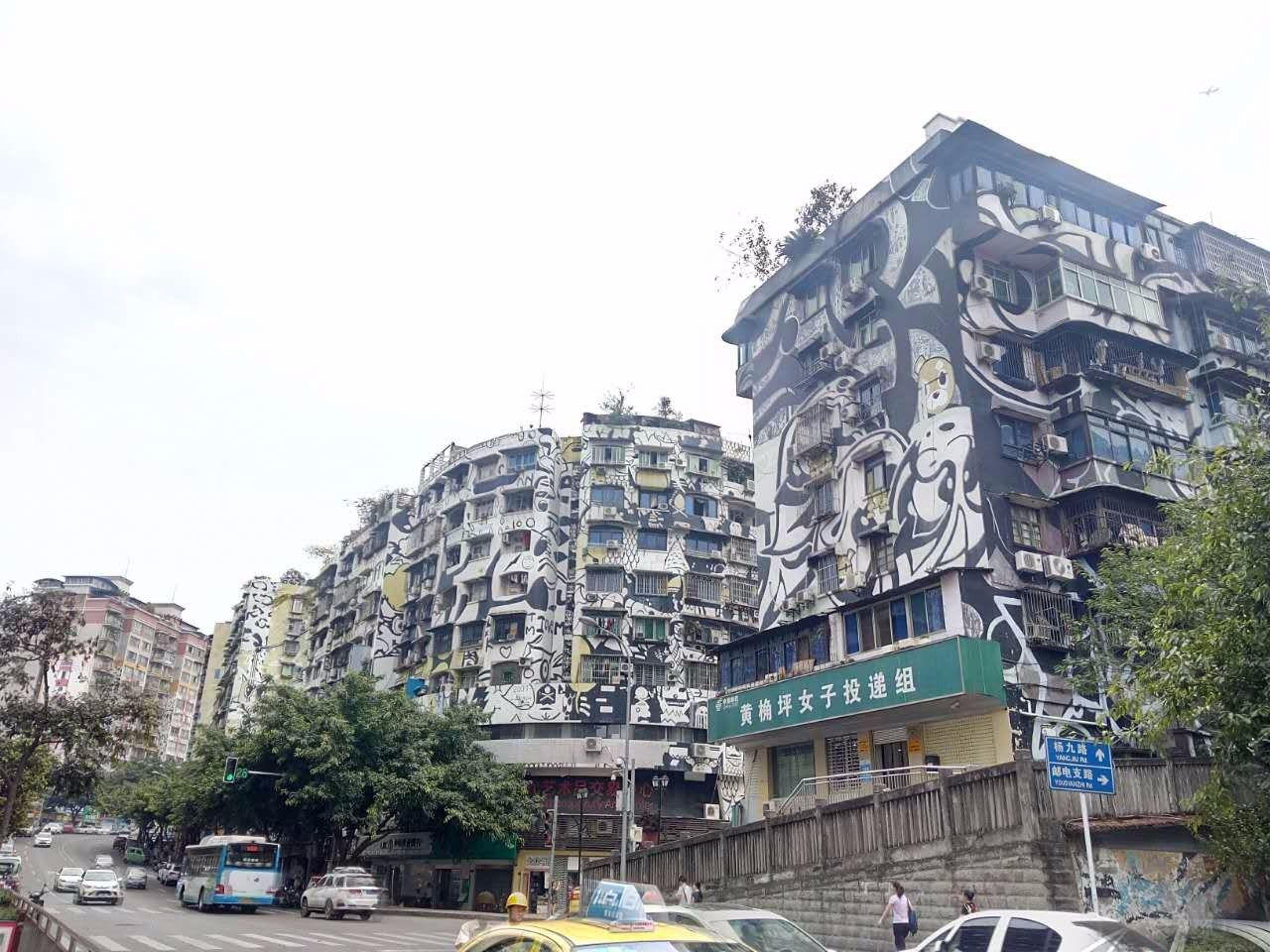 户外小白成长记,户外小白进阶课