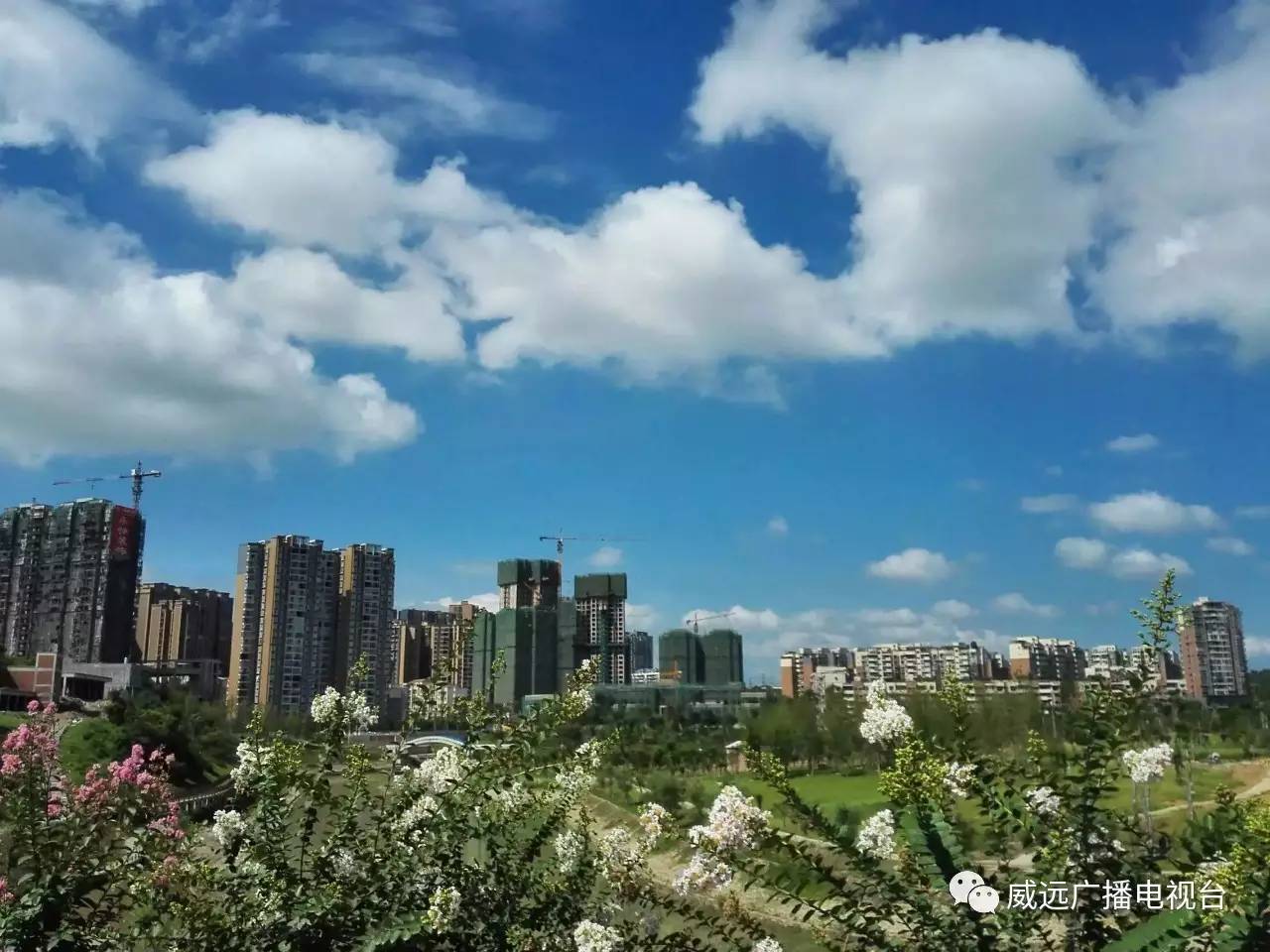 威远县发展最好的镇排名,四川威远各镇排名