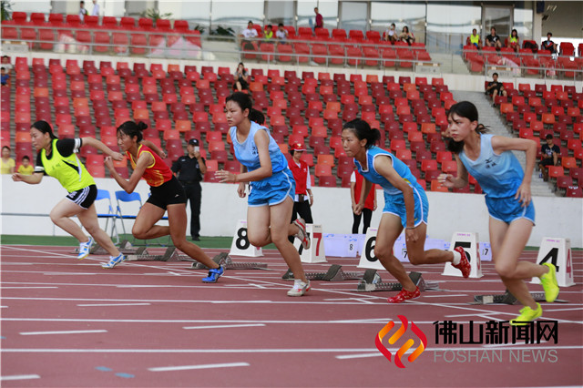 广东省运会田径赛程表,顺德区田径锦标赛