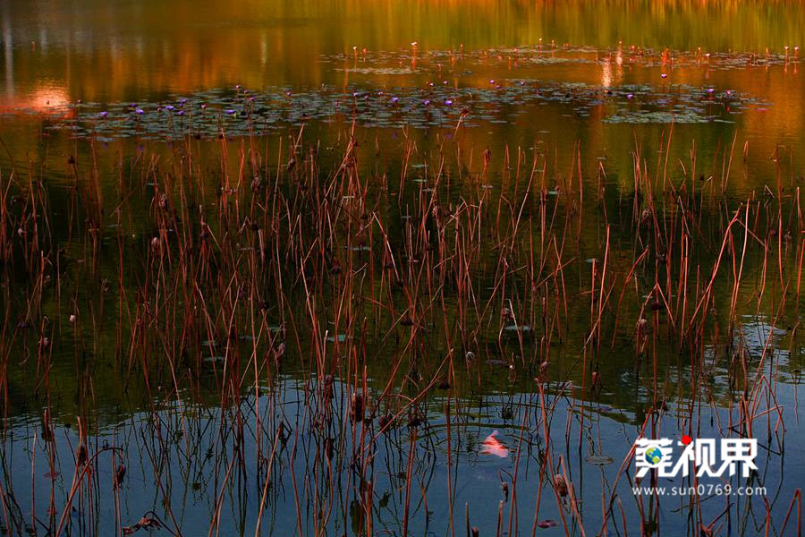 山水风景都很美,山水景色不输九寨沟