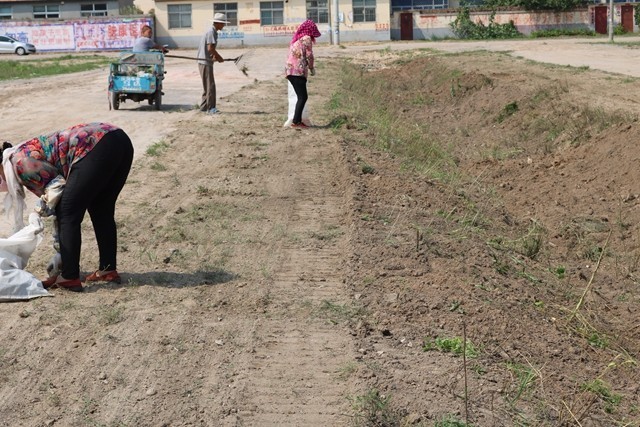 啄木鸟行动消灭错别字,朝阳市建平县啄木鸟行动