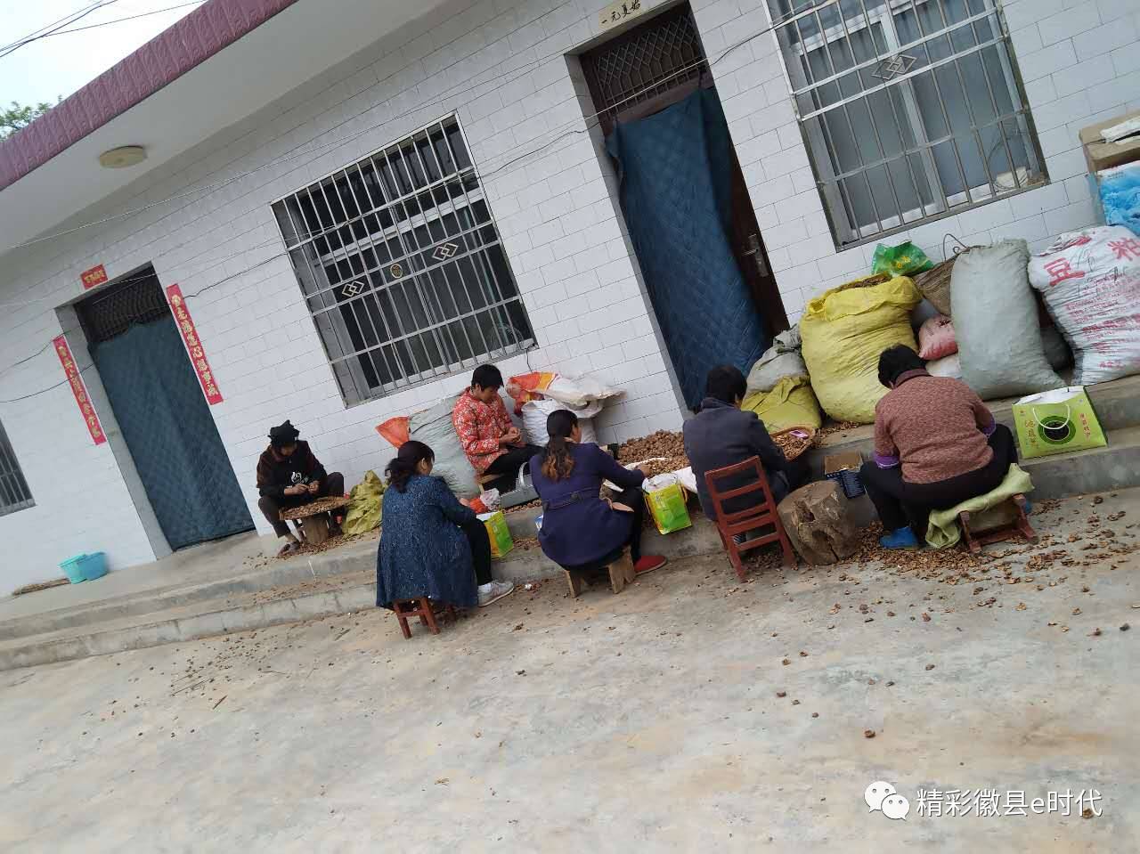 梁倩娟农村电商直播,梁倩娟谈电商政策